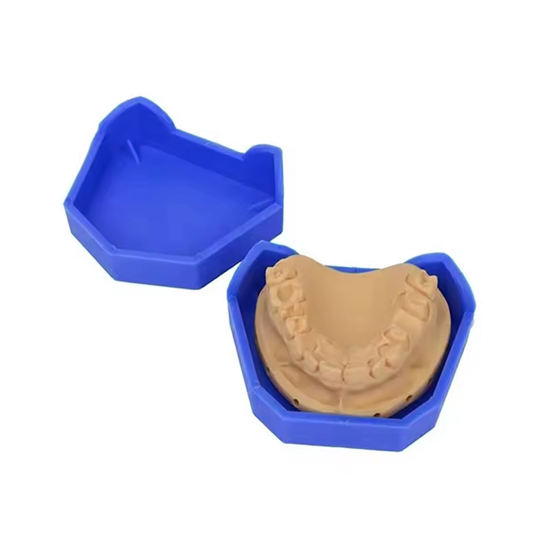 2/6Pcs Dental Model Base Silic - Teeth Whitening Tray recensie en prijs