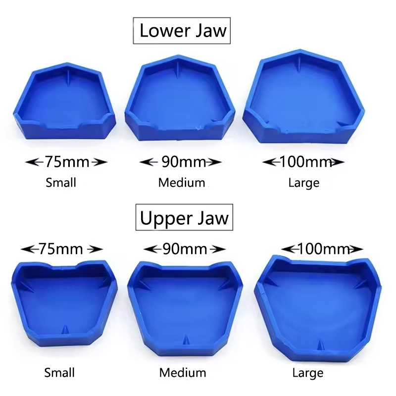 2/6Pcs Dental Model Base Silic - Teeth Whitening Tray recensie en prijs