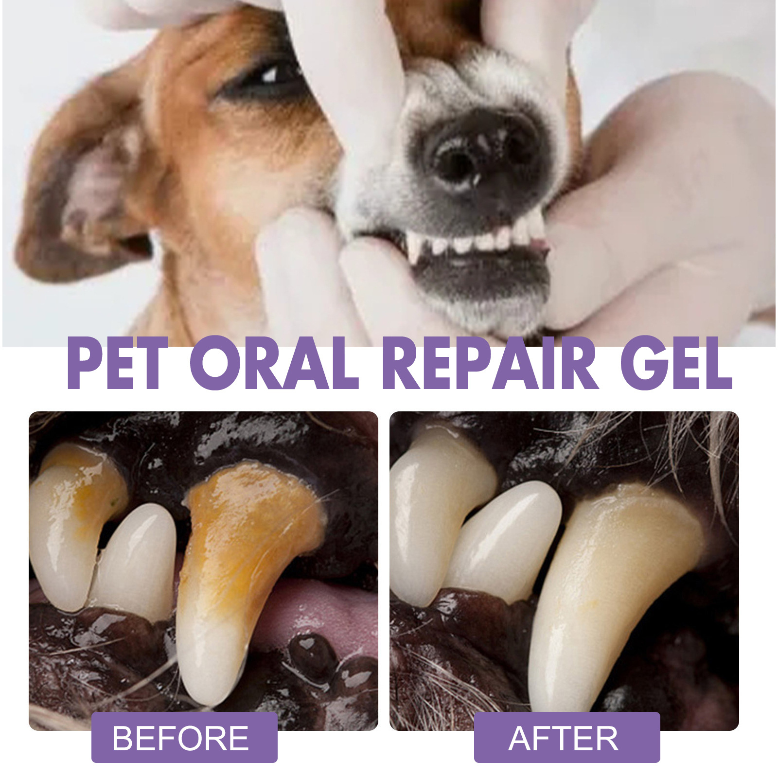 Pet Oral Repair Gel Puppy Tart - Teeth Whitening Clinic recensie en prijs