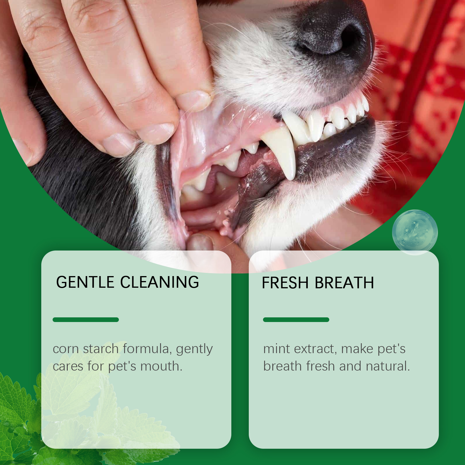 Pet Teeth Cleaning Powder Redu - Teeth Whitening Clinic recensie en prijs
