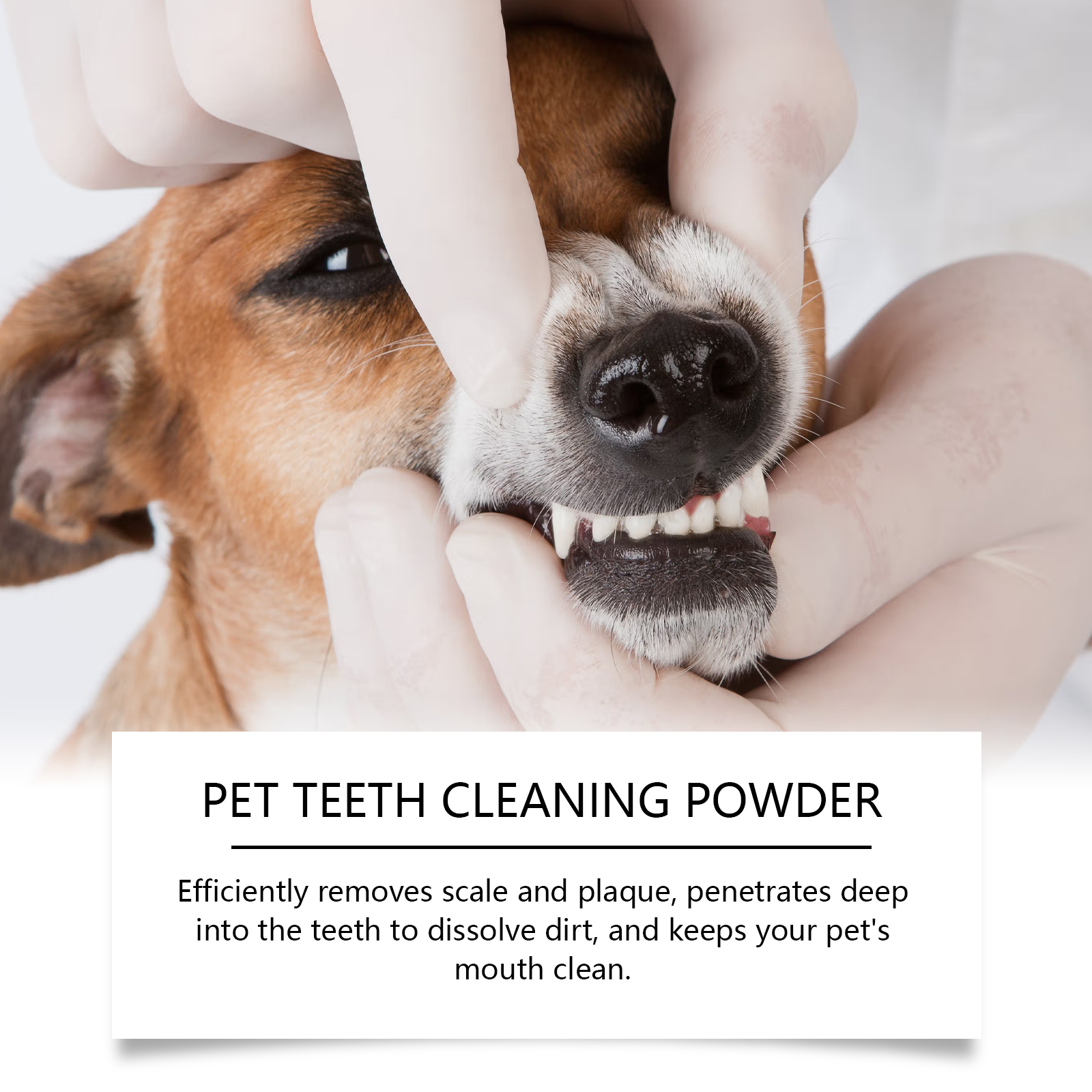 Pet Teeth Cleaning Powder Redu - Teeth Whitening Clinic recensie en prijs